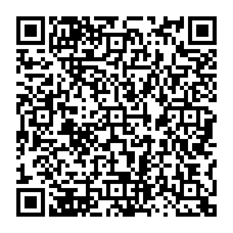 vCard 79231683331