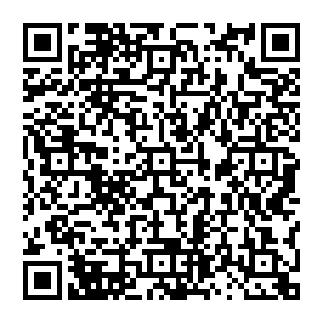 vCard 79231683390