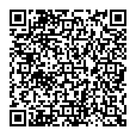 vCard 79231683401