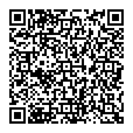 vCard 79231683411