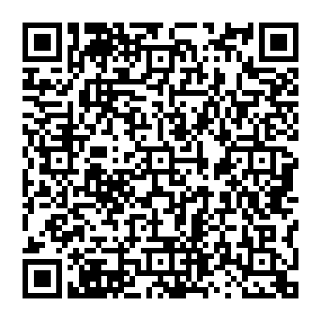 vCard 79231683417