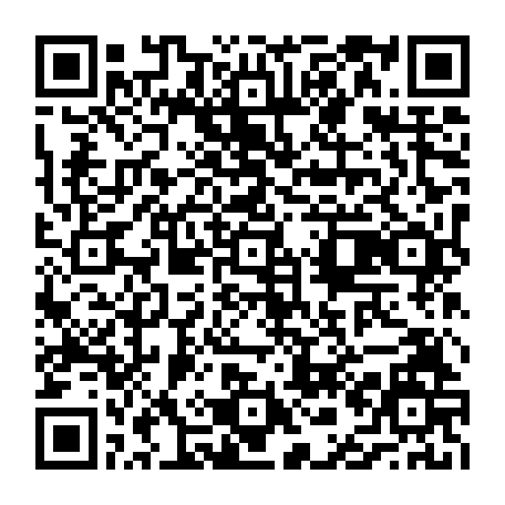 vCard 79231683554