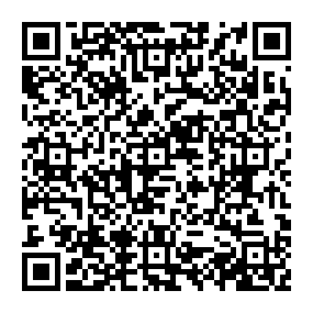 vCard 79231683582