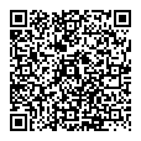 vCard 79231683593