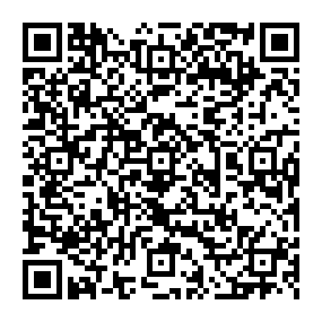 vCard 79231683623