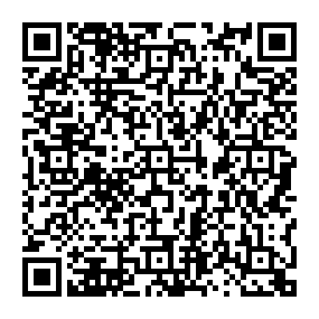 vCard 79231683654