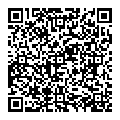 vCard 79231683714