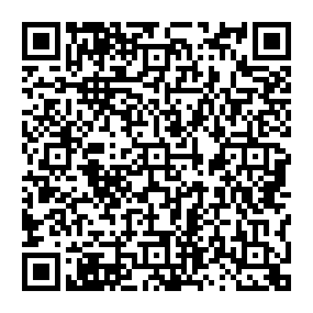 vCard 79231683817