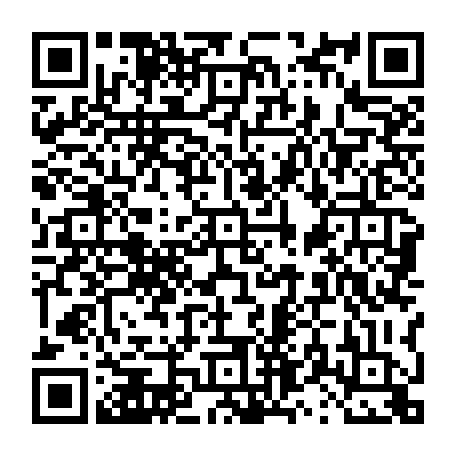vCard 79231683847