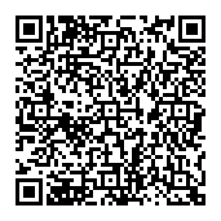 vCard 79231683877