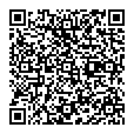 vCard 79231683878