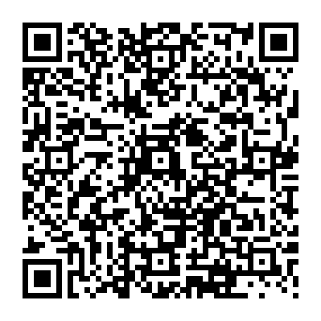 vCard 79231683881