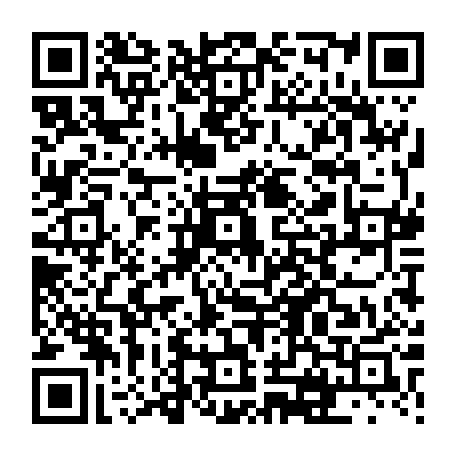 vCard 79231683967