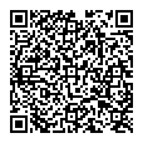 vCard 79231684003