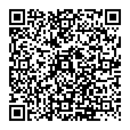 vCard 79231684006