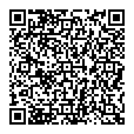 vCard 79231684018