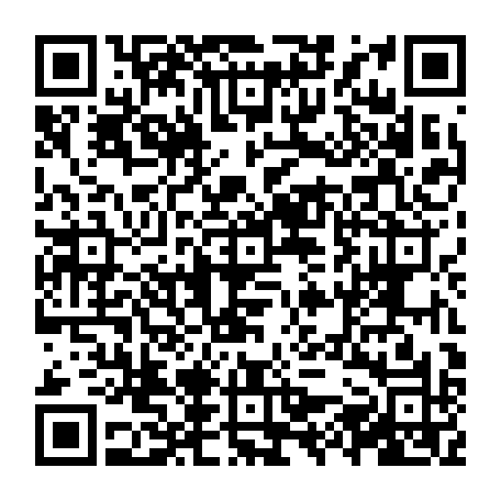 vCard 79231684038