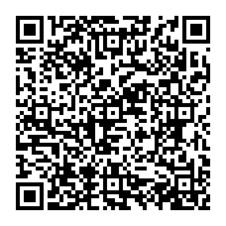 vCard 79231684046