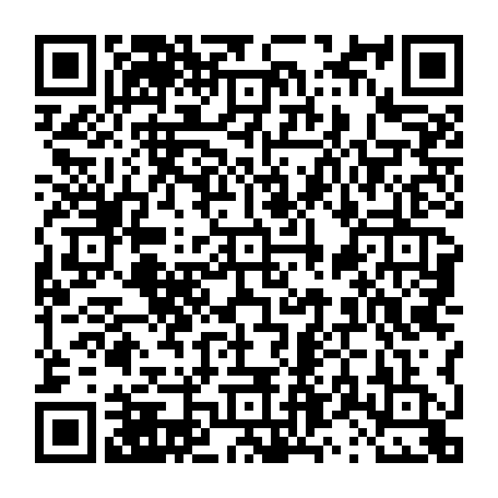 vCard 79231684063