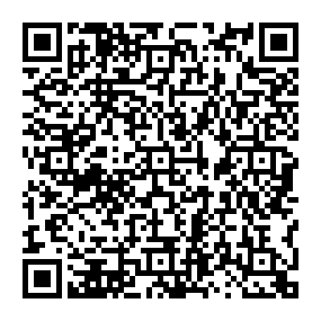 vCard 79231684085