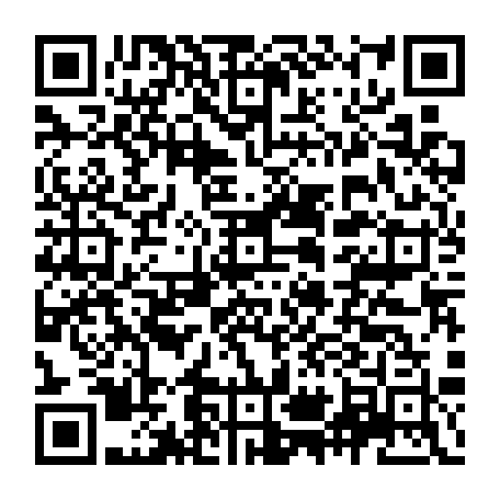 vCard 79231684111