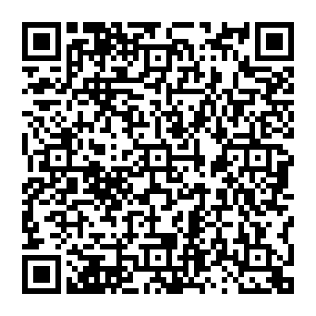 vCard 79231684137