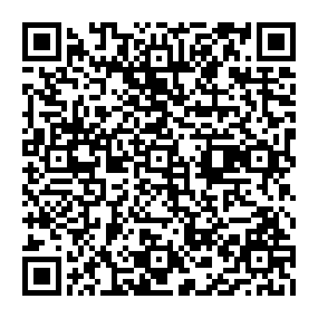 vCard 79231684155