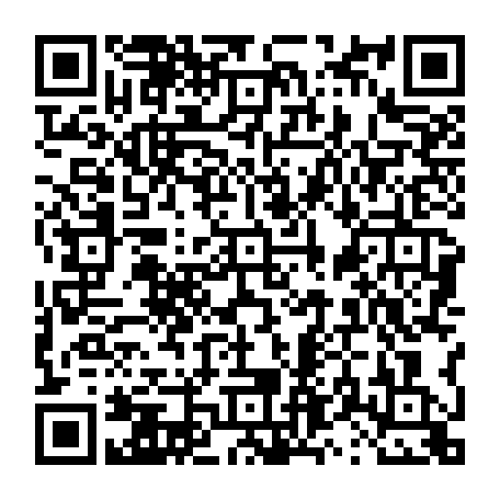 vCard 79231684168