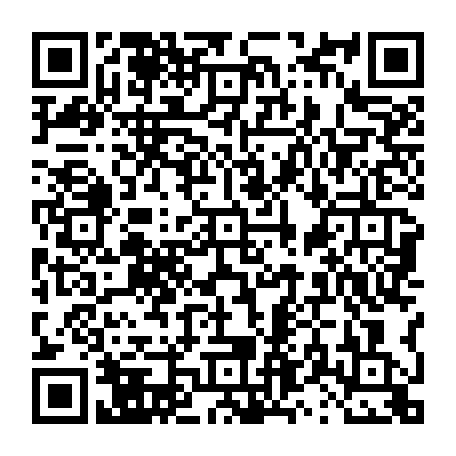 vCard 79231684177