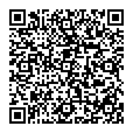 vCard 79231684220