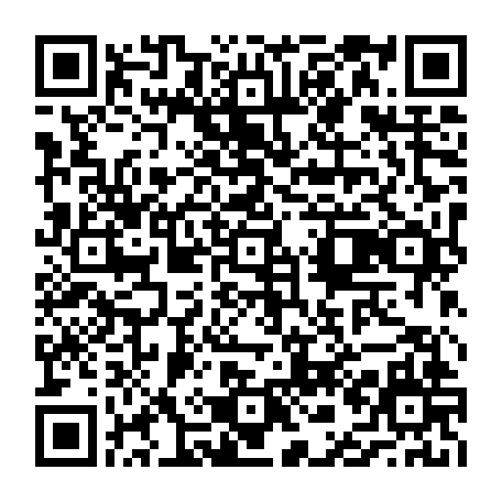 vCard 79231684271