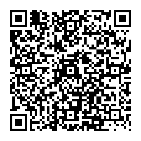 vCard 79231684281