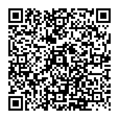 vCard 79231684288
