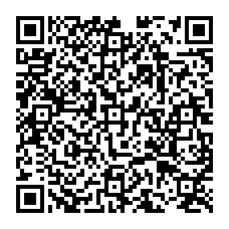 vCard 79231684303