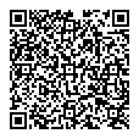 vCard 79231684311