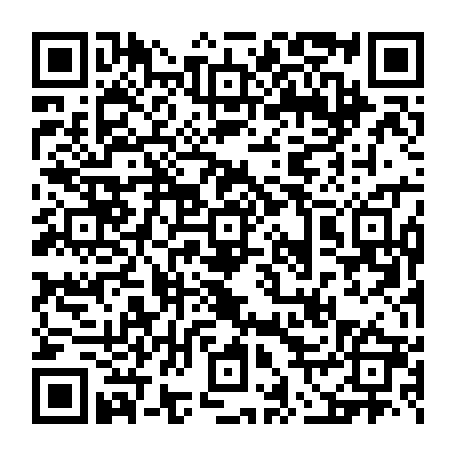 vCard 79231684313