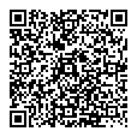 vCard 79231684317