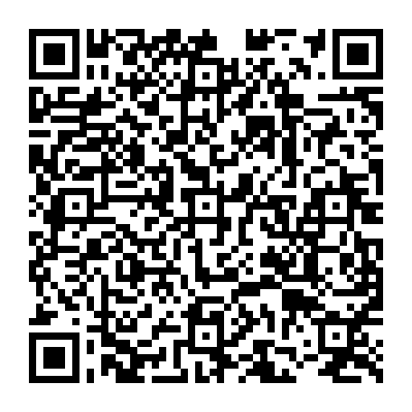 vCard 79231684325