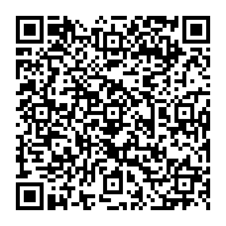 vCard 79231684351