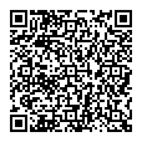 vCard 79231684516