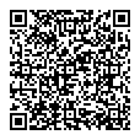 vCard 79231684638