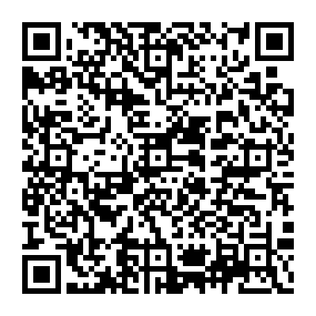 vCard 79231684647