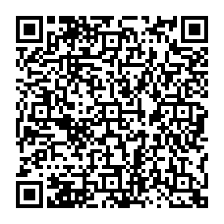 vCard 79231684677