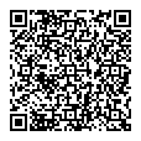 vCard 79231684721