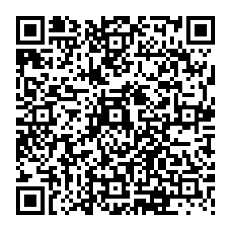 vCard 79231684736