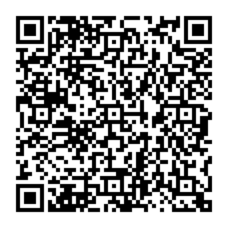 vCard 79231684737