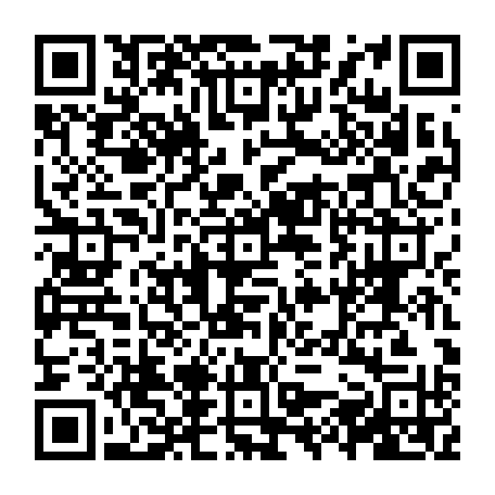 vCard 79231684777