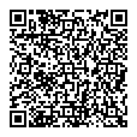 vCard 79231684851