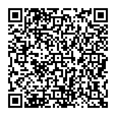 vCard 79231684919