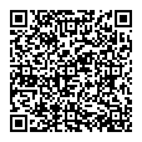 vCard 79231684974